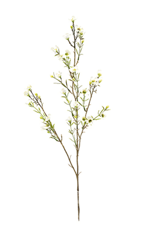 Wax flower white 78cm