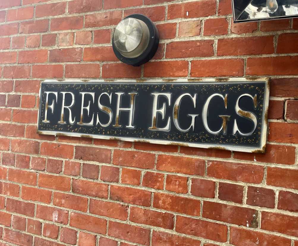 Fresh eggs metal sign