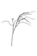 Willow Branch 100cm