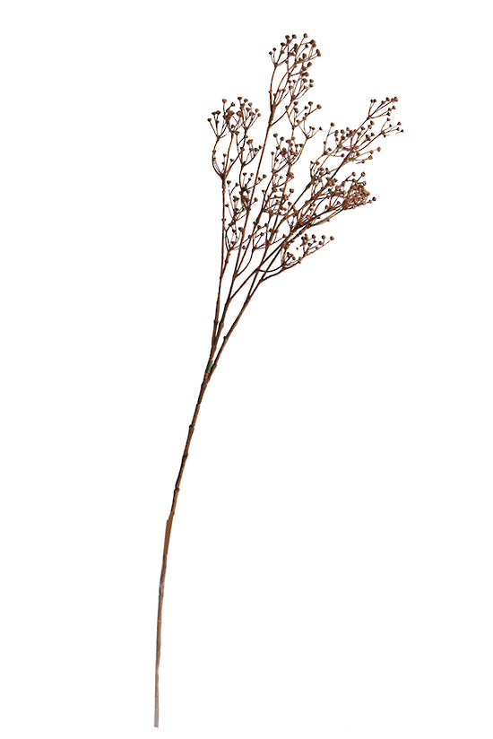 Talinum Spray