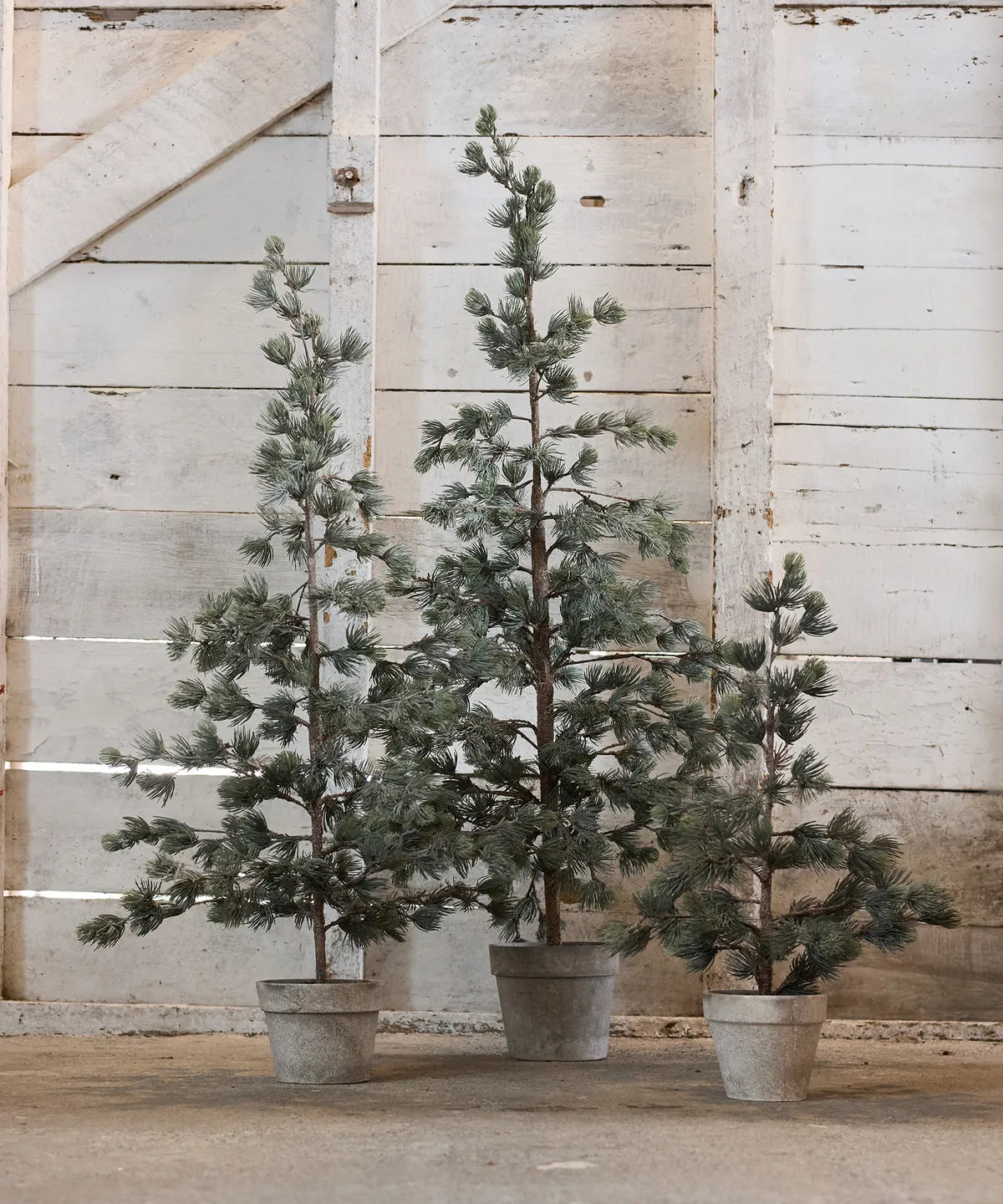 Pine Tree Dusty Small