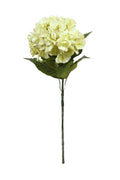 Dutch Hydrangea Green 67cm