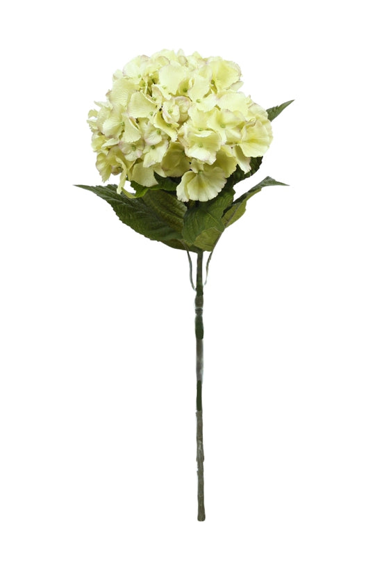 Dutch Hydrangea Green 67cm