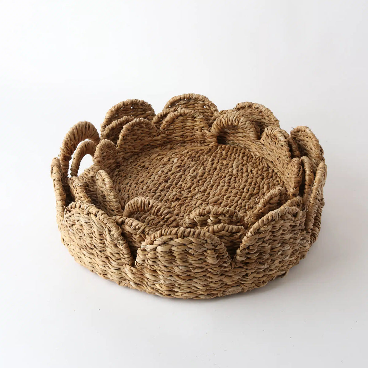 Seagrass Scallop Trays