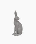Harold the Hare Turning Grey 14x10x31