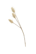 Bunny tail Pick 35cm