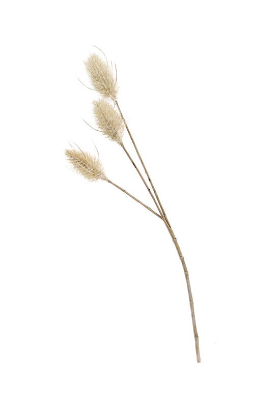 Bunny tail Pick 35cm