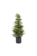 Soft Pine Tree RT Potted 1.2m