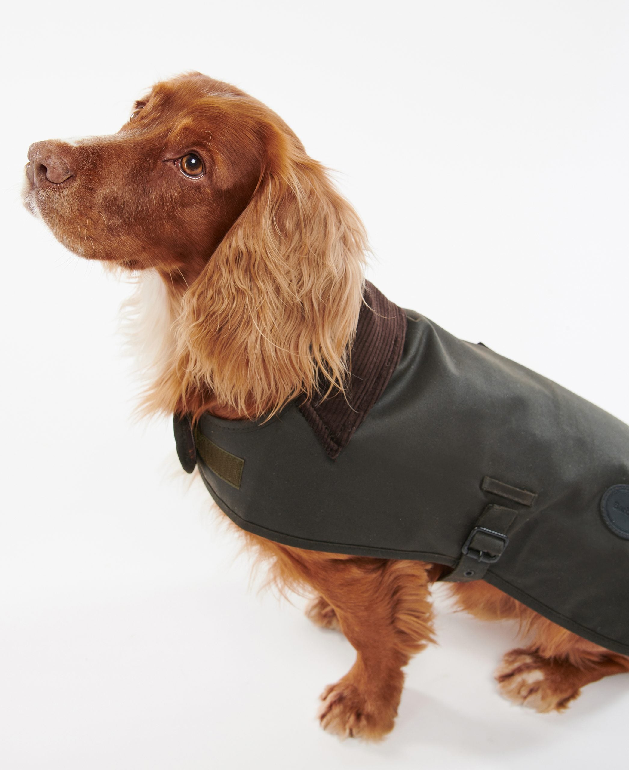 Barbbour Tartan Wax dog coat Small