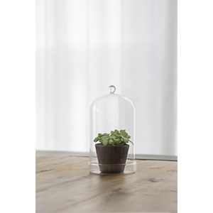 Bell Jar Glass with bowl 13cm
