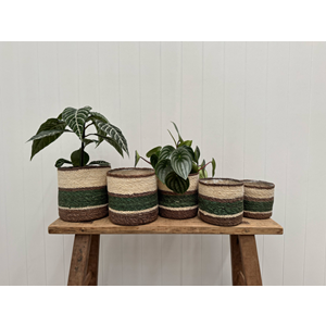 Elouise Planter Baskets