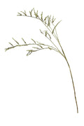 Stachyurus Branch 1.3m