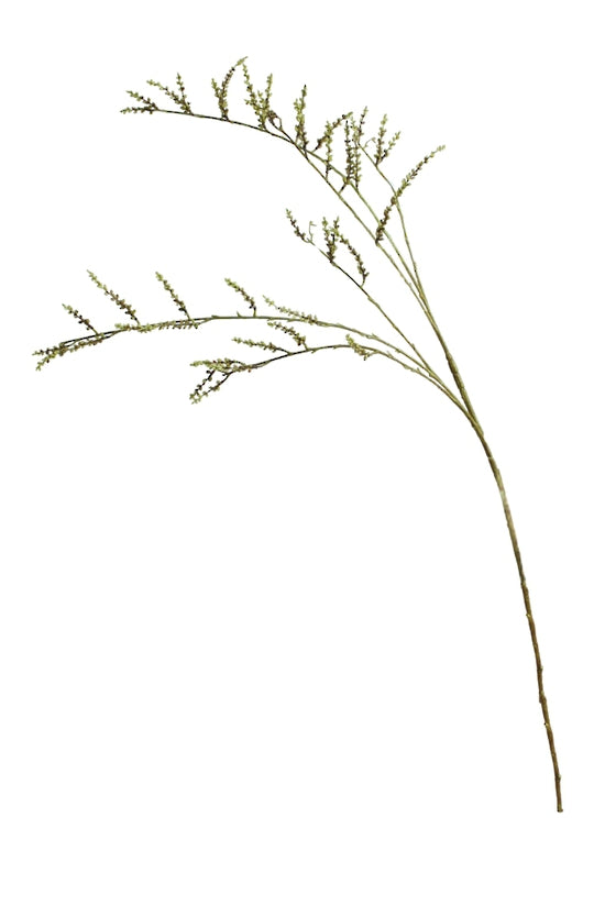 Stachyurus Branch 1.3m