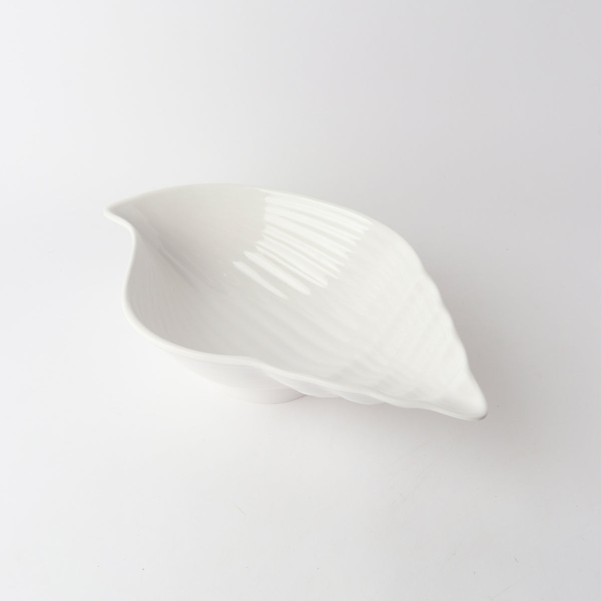 Melamine Conch shell - White