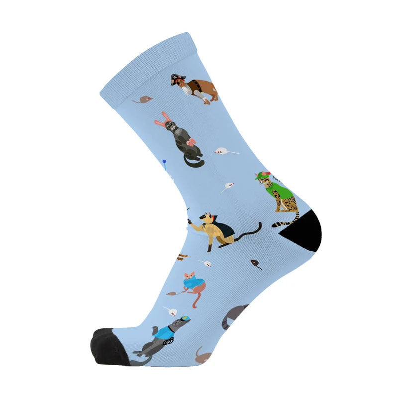 Raining Cats and Dogs Sox gift box