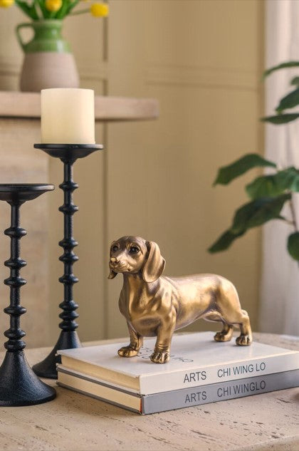 Gold Dog