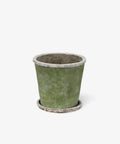 Evergreen pot and saucer - large