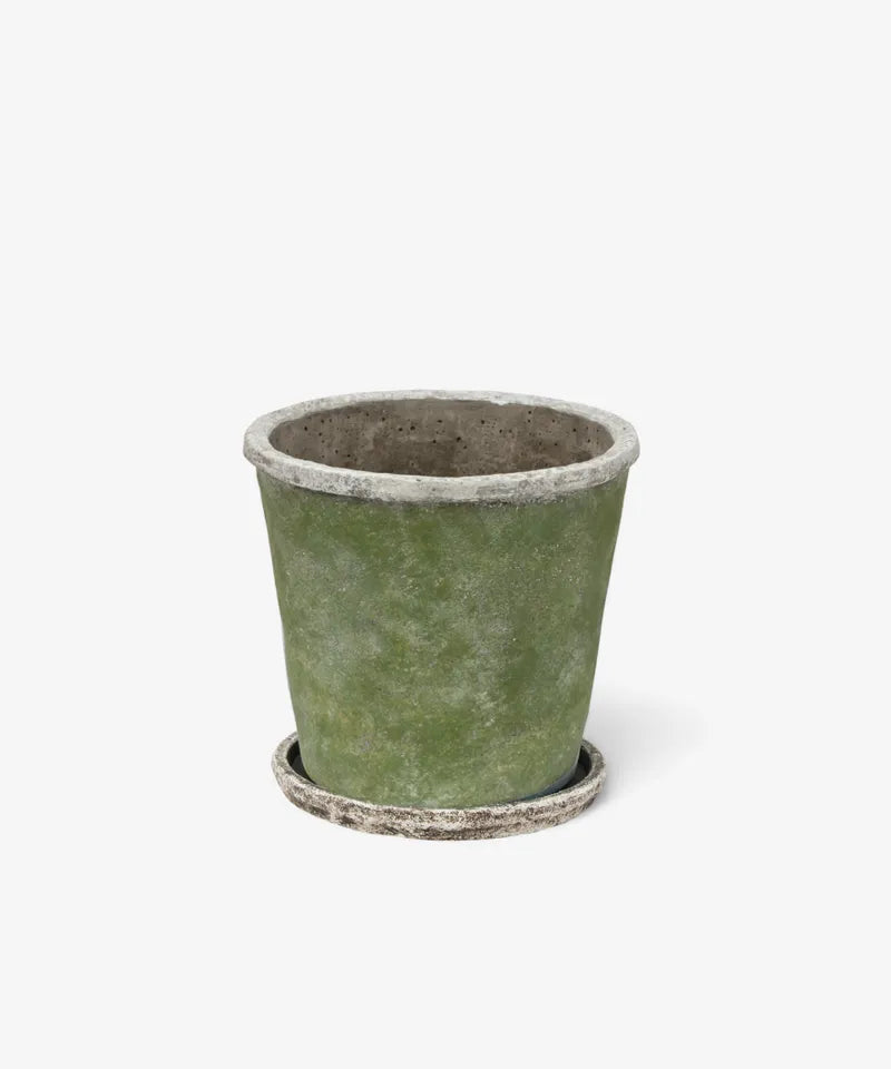 Evergreen pot and saucer - large