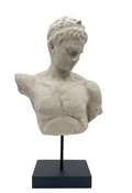 Bust
