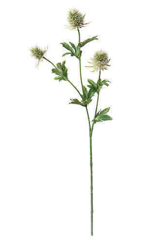 Thistle Spray Green 63.5