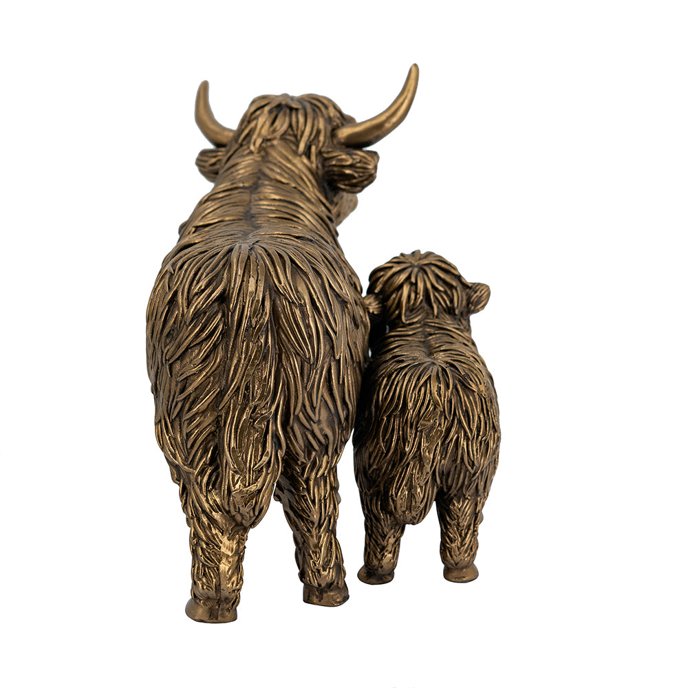 Highland cattle and calf