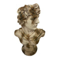 DAVID BUST - INDOOR &amp; OUTDOOR - ANTIQUE MARBLE MAGNESIA COMPOSITE