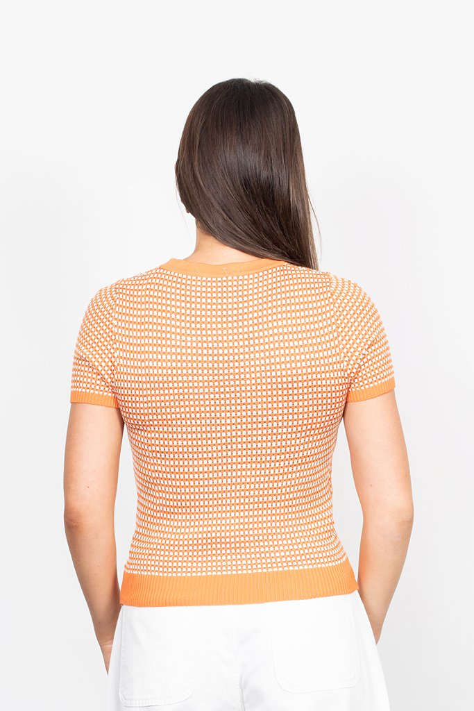 Aster Top