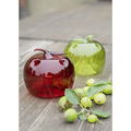 Fruit Fly Apple Trap