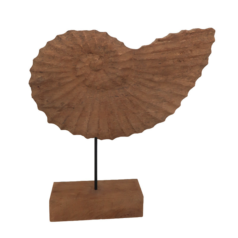 Nautilus Shell On Stand