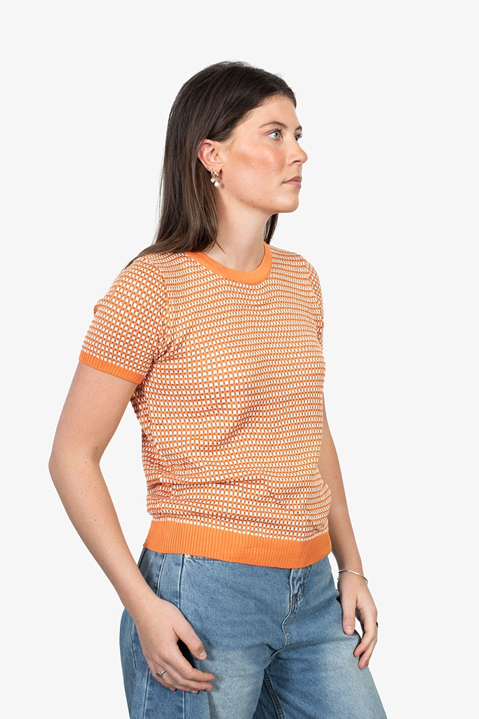 Aster Top