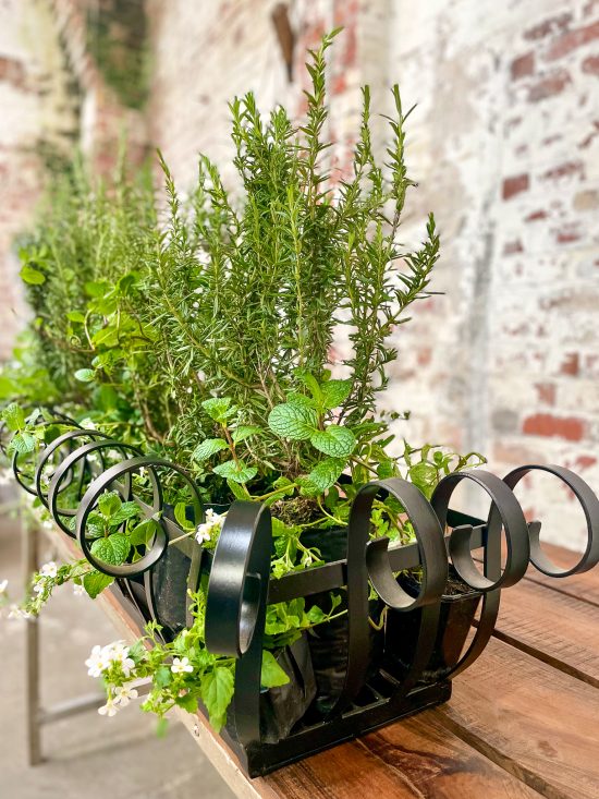 Black Iron Windowbox