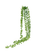 String of beads succulent green 73cm