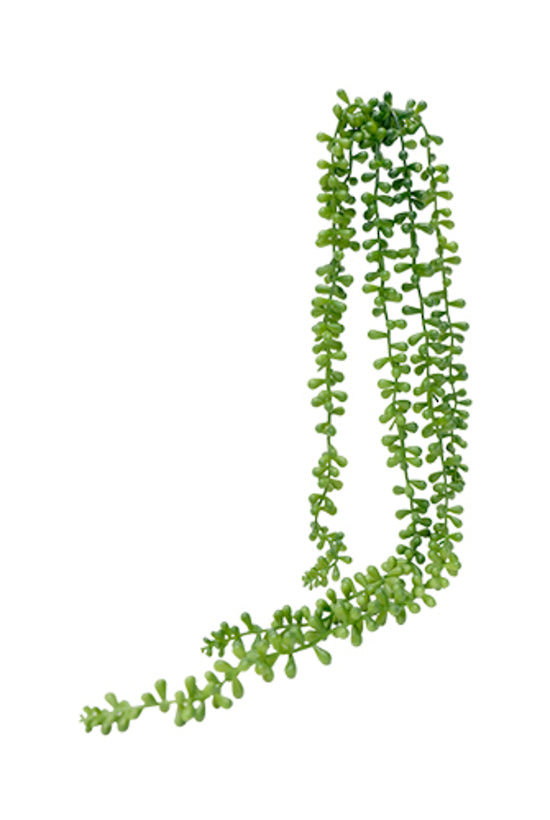 String of beads succulent green 73cm
