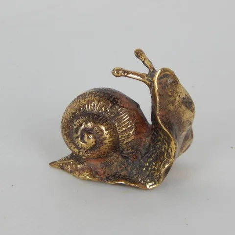 Brass snail, extra small 6cm x 4cm