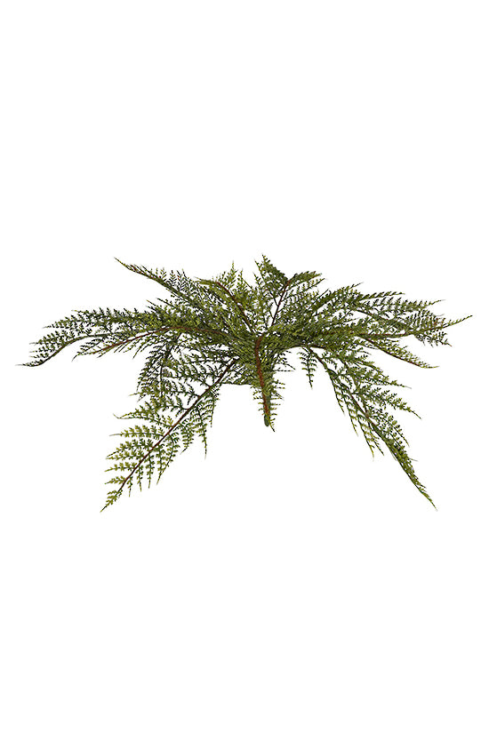 Forrest Fern Bush 42.5cm