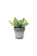 Angelina Succulent Grey Pot 22cm