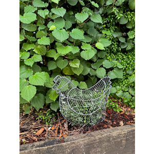 Topiary Frame - Chicken