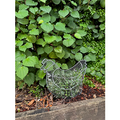Topiary Frame - Chicken