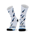 Fairy Penguin Sox