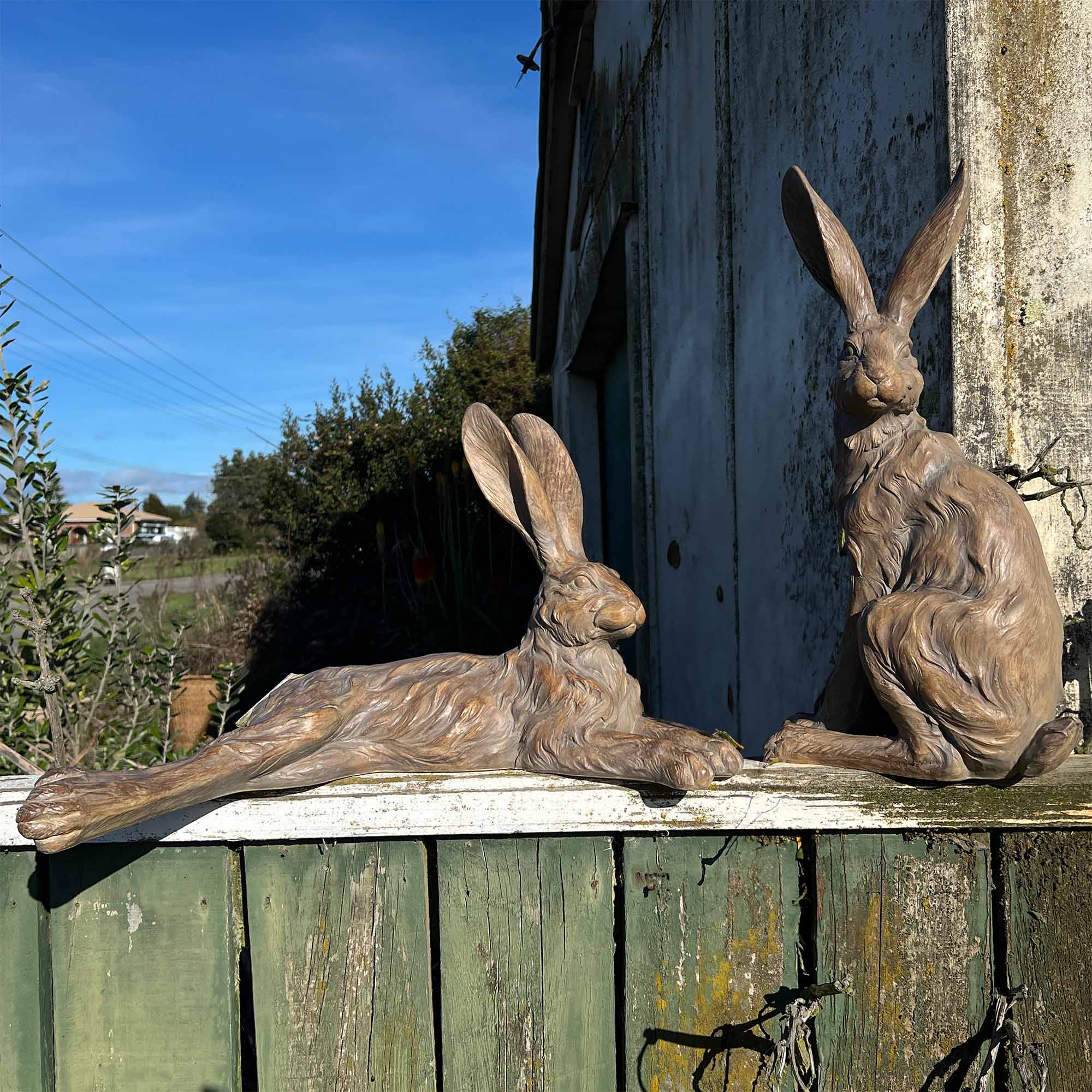 Walnut  Country Hare Standing earth