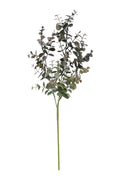 Silver Dollar - Grey Pink 65cm