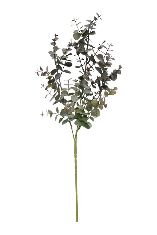 Silver Dollar - Grey Pink 65cm