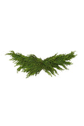 Norfolk Pine Swag 116cm