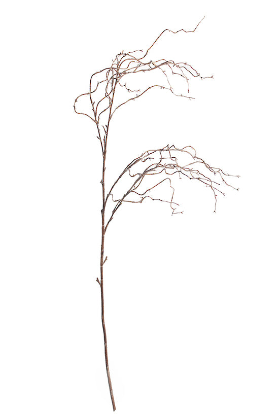 Willow Branch Tall 140cm