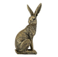 Gold Rabbit