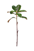 Magnolia Leaf Spray 59cm