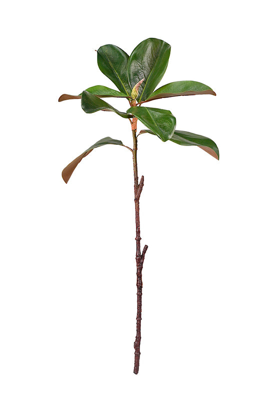 Magnolia Leaf Spray 59cm