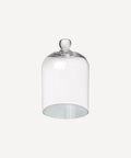 Small glass dome