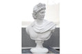 Apollo bust White