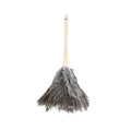 Feather duster